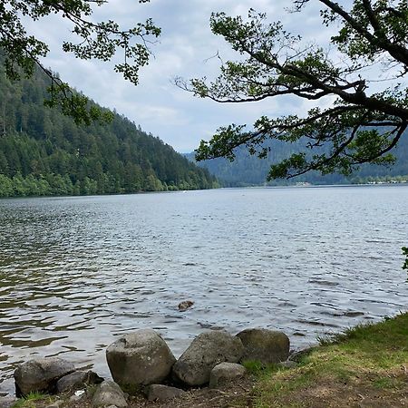 Charmant Chalet, Spacieux, Proche Du Lac, Vue Sur La Montagne Gerardmer Exterior photo
