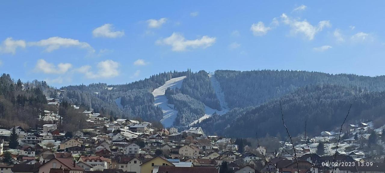 Charmant Chalet, Spacieux, Proche Du Lac, Vue Sur La Montagne Gerardmer Exterior photo