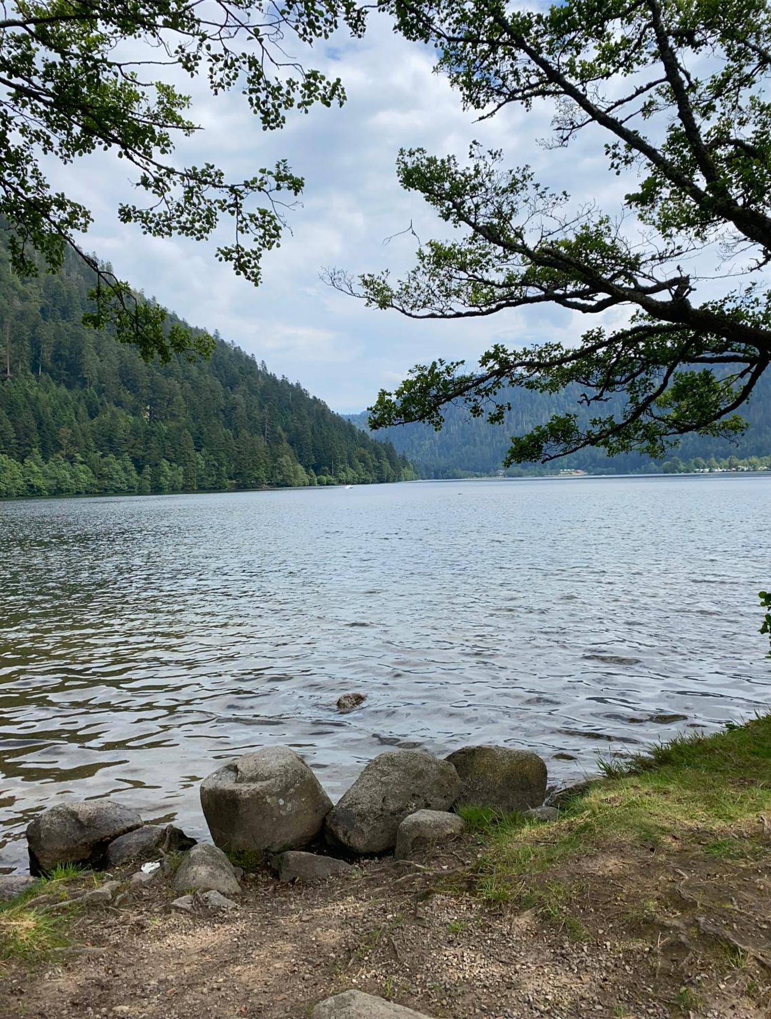 Charmant Chalet, Spacieux, Proche Du Lac, Vue Sur La Montagne Gerardmer Exterior photo